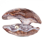 Pearl Oyster, Vintage Rose