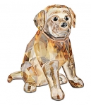 Golden Retriever, sitting