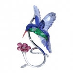 Hummingbird